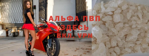 ПСИЛОЦИБИНОВЫЕ ГРИБЫ Заволжье