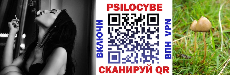 Галлюциногенные грибы Psilocybe Калач